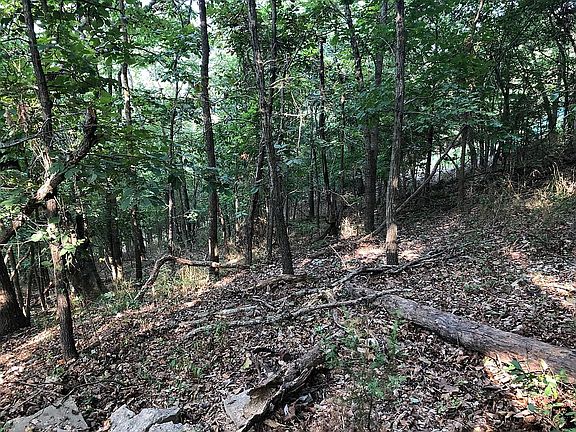 4th image of Leatherwood Dr