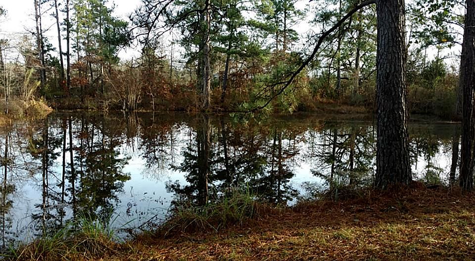 1st image of 3147 State Highway 19