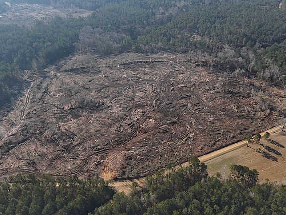 3rd image of Firetower Rd