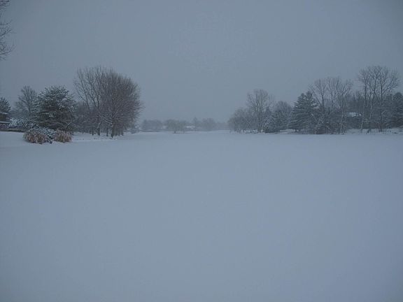 THE LAKE IN WINTER