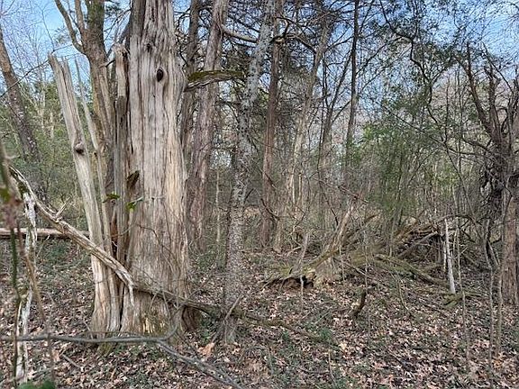 5th image of Collierville Arlington Rd Lot 1