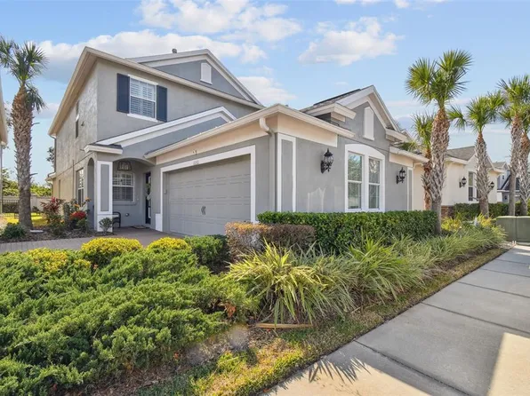 11132 Roseate Dr, Tampa, FL 33626