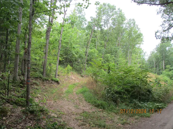 Black Bear Ln, Crimora, VA 24431