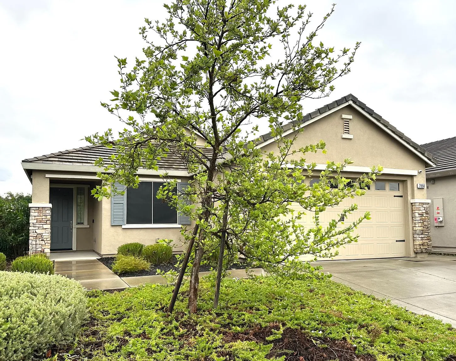 7890 Little Plum Way photo 1