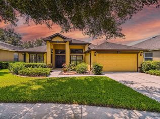 15620 Starling Water Dr, Lithia, FL 33547