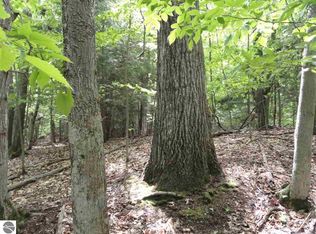 Open Meadow Ln, Traverse City, MI 49685