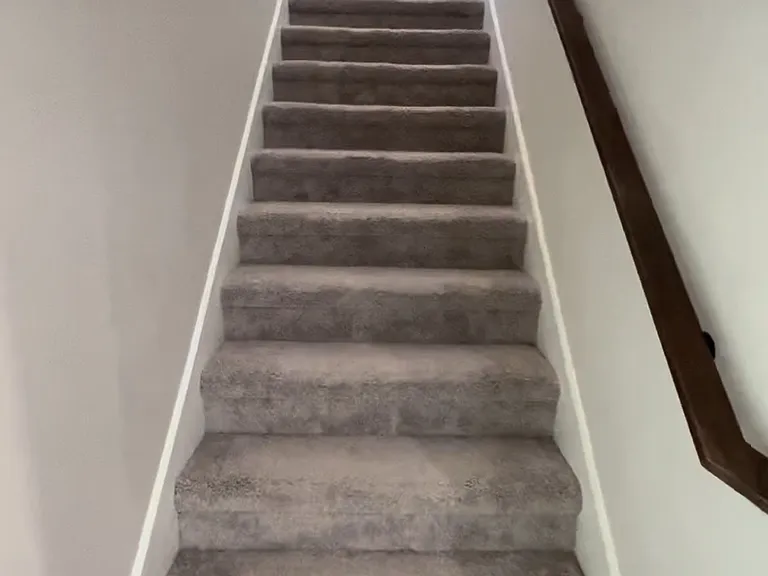 2323 Scott St — Photo 5