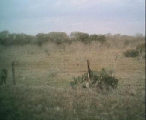2nd image of 000 E CR 331