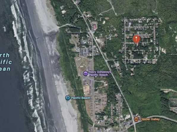 40 Robin Lane, Pacific Beach, WA 98571