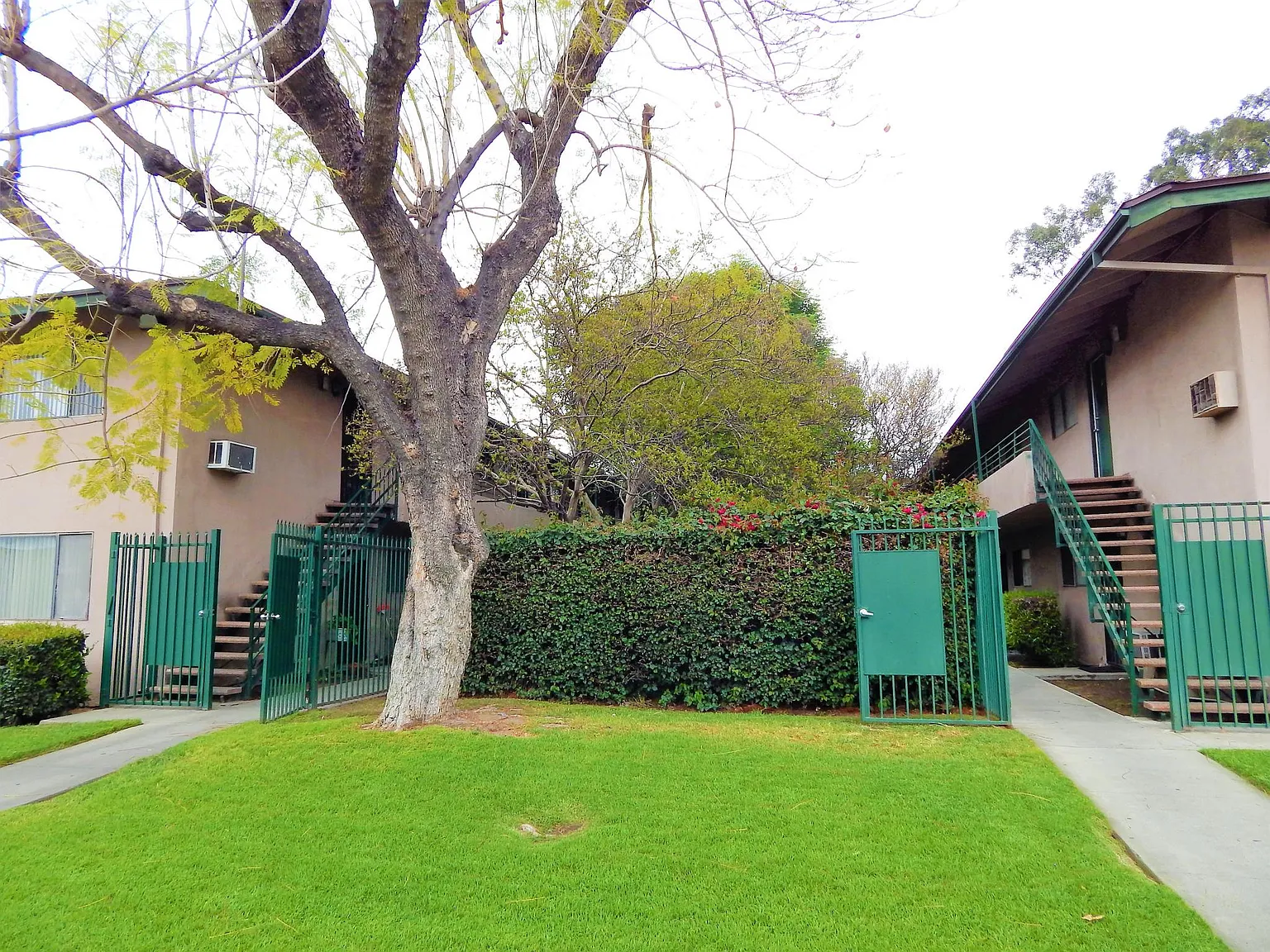 2 bed, 800 sqft, $1,900 — Photo 2