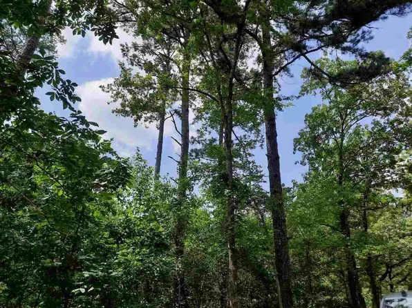 Unk S Eve, Mena, AR 71953