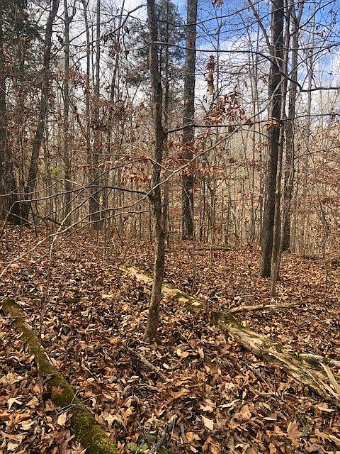 2nd image of 8510 W Alex Goins Rd