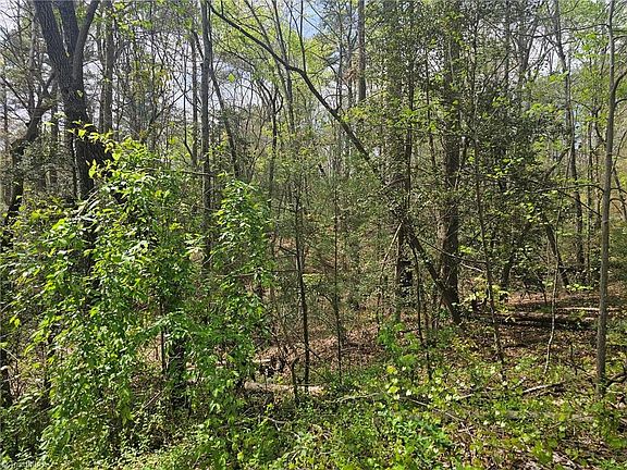 2nd image of 0 Spring Dr