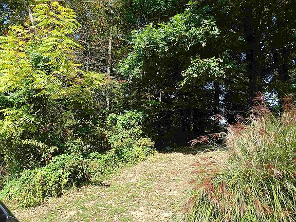 2nd image of 9029 Marfield Ct