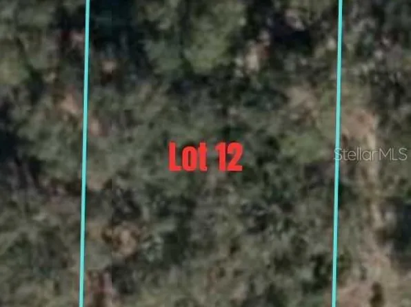 NE 69th St #12, Williston, FL 32696