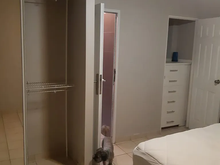901 Calle Refugio Condominio Casablanca #4C — Photo 3