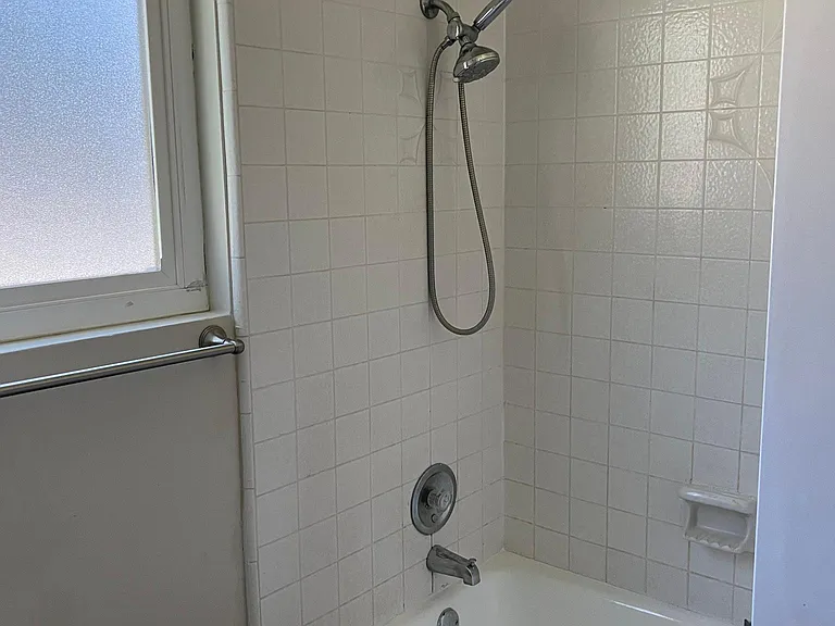 hall bathroom