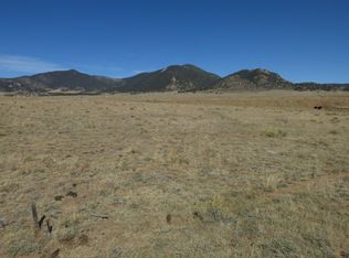 9995 Jackson Rd, Hartsel, CO 80449