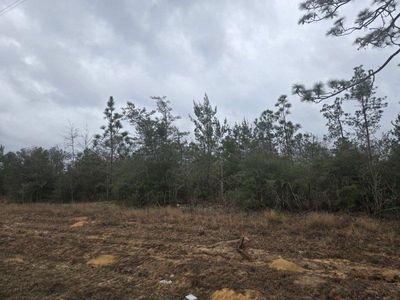 0 NW County Road 274 Rd #274, Altha, FL, 32421