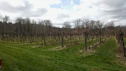2nd image of 9219 Sidehill Rd