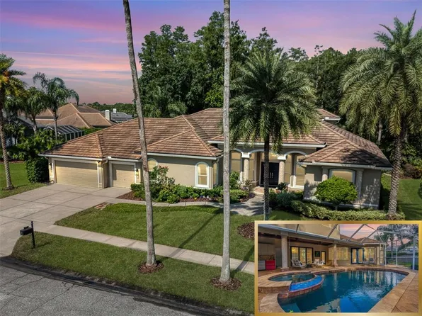 12031 Brewster Dr, Tampa, FL 33626