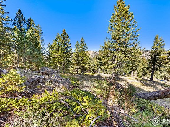 5th image of 323 Roxbury Dr