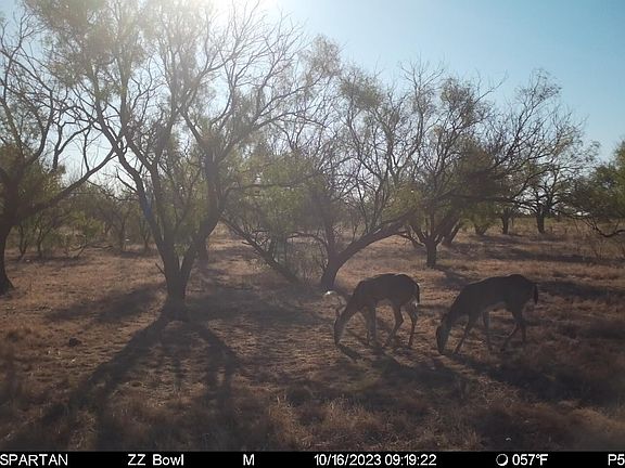 2nd image of 0 County Road 213