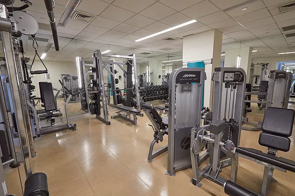 Rented by Voro, LLC | media 30