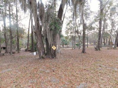 LOT 4 Edisto Oak Ln, Edisto Island, SC, 29438