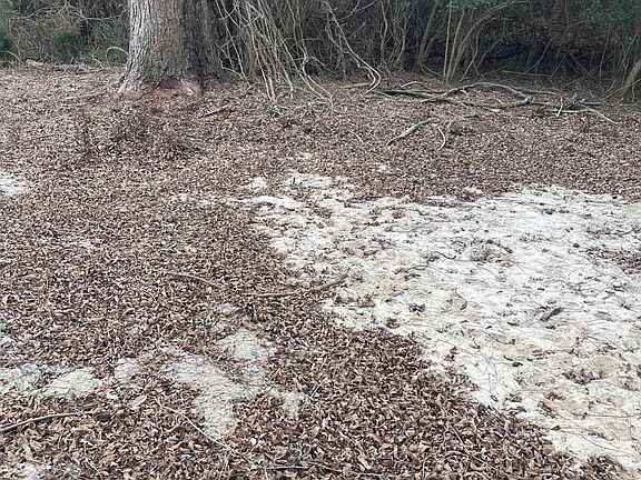 3rd image of 316 Bayview Road