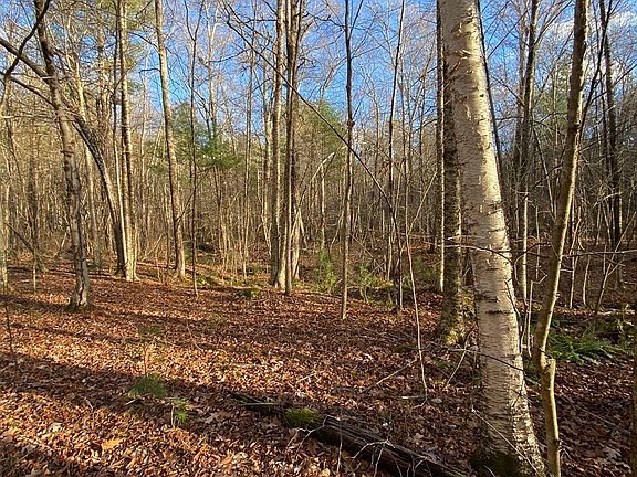 5th image of LOT Brimfield Rd #B