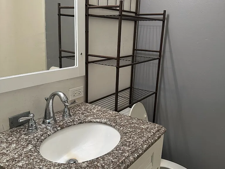 3004-06 S Archer Ave S #2RW — Photo 9