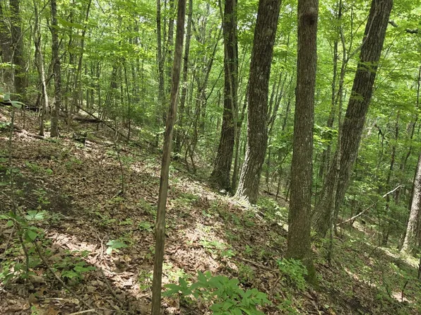 205 Poplar Bnd Lot 553, Jasper, TN 37347