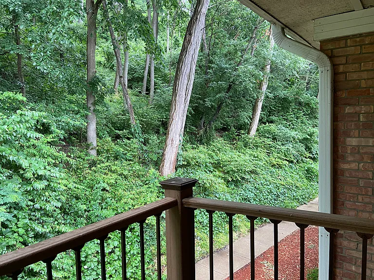 1249 Island Dr #202 — Photo 8
