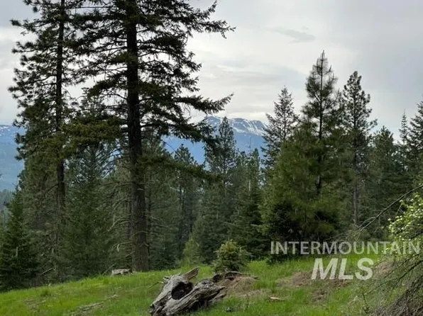 5 Vk Ln, New Meadows, ID 83654