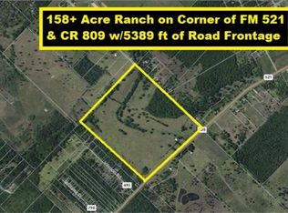 1496 Fm 521 Rd, Brazoria, TX 77422