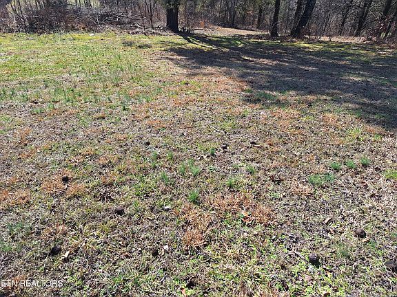 5th image of 383 Wild Turkey Ln