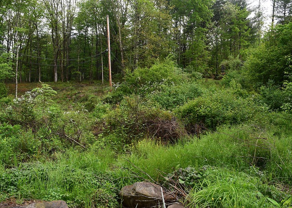 2nd image of 176 Hickory Ave