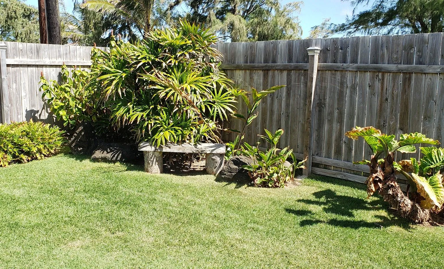 Hauula — Photo 4