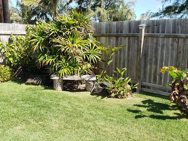53-446 Kamehameha Hwy — Photo 4