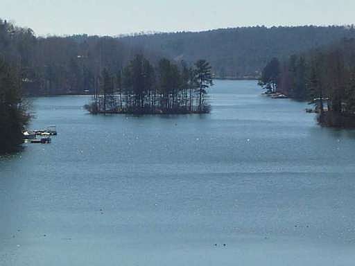 2nd image of 163 Lone Bear Dr