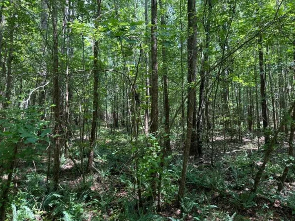 21ac Atomic, Beech Island, SC 29842