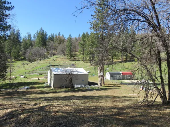 4196 Bald Mountain Rd, West Point, CA 95255