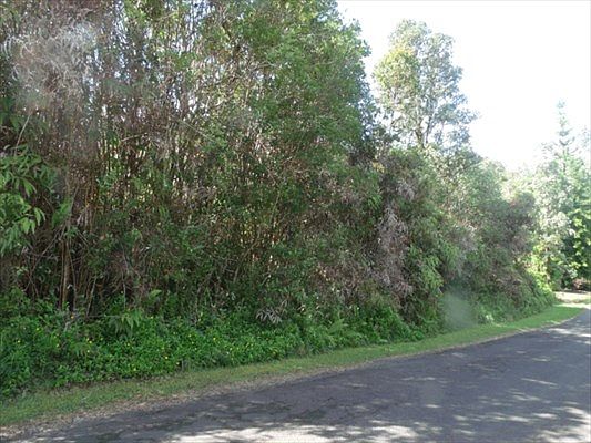 4th image of Plumeria St Lot 6656