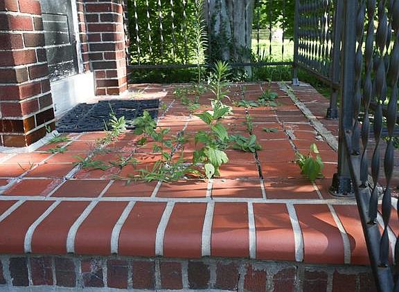 5th image of 485 Oakwood Ave