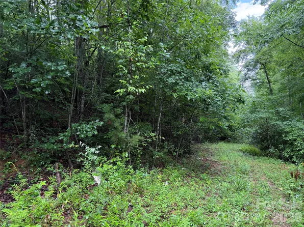 Off Donald McCall Rd, Balsam Grove, NC 28708