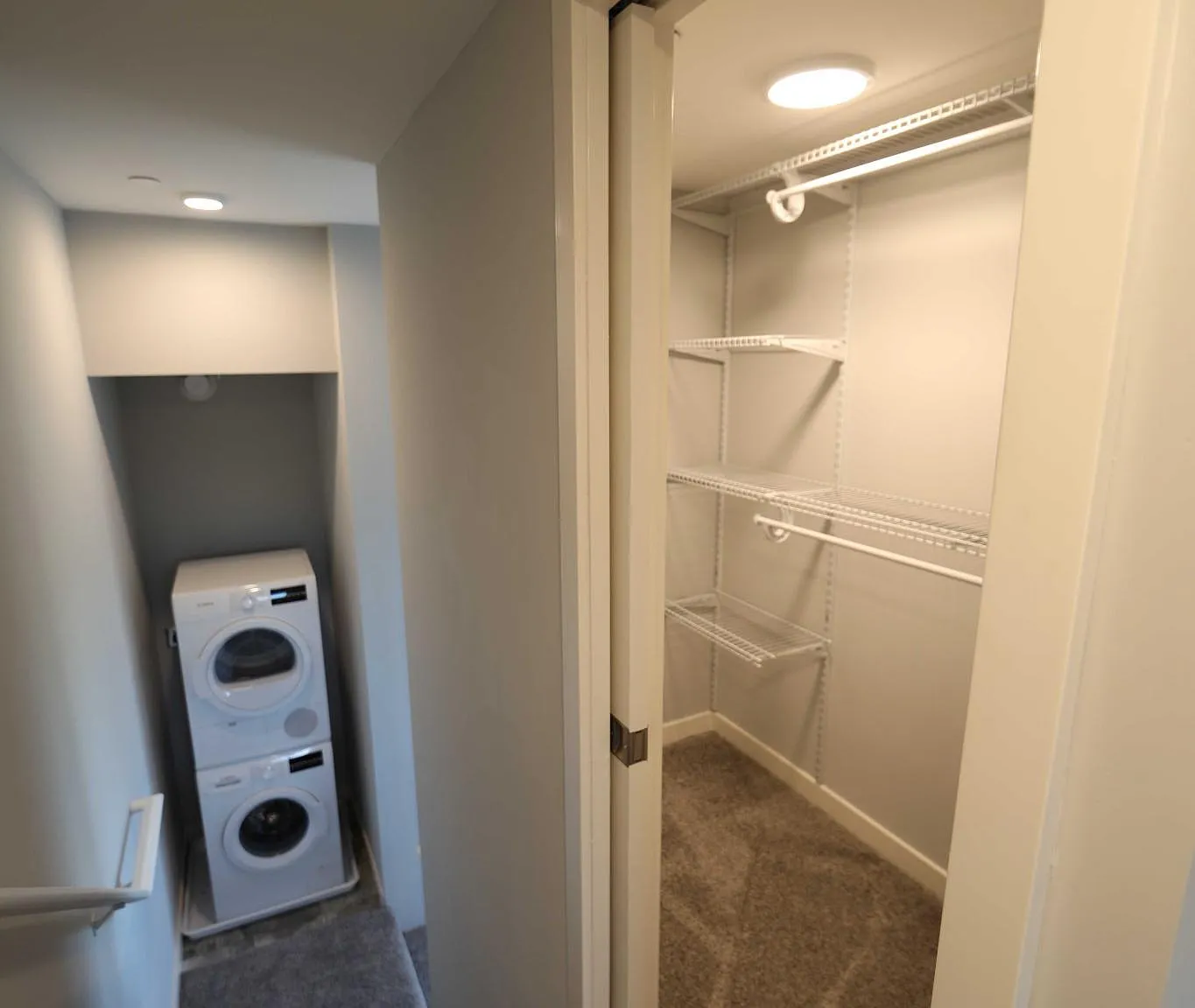1 bed, 546 sqft, $2,295 — Photo 3