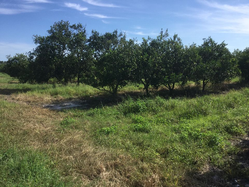 2nd image of 1151 Vandolah Rd