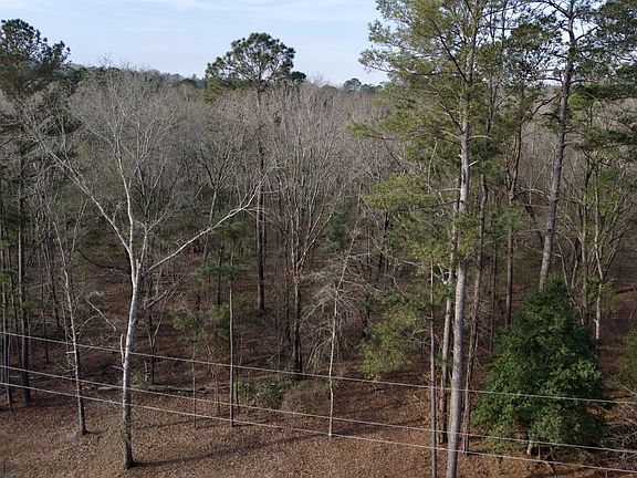 2nd image of 2612 Patterson Bridge Road