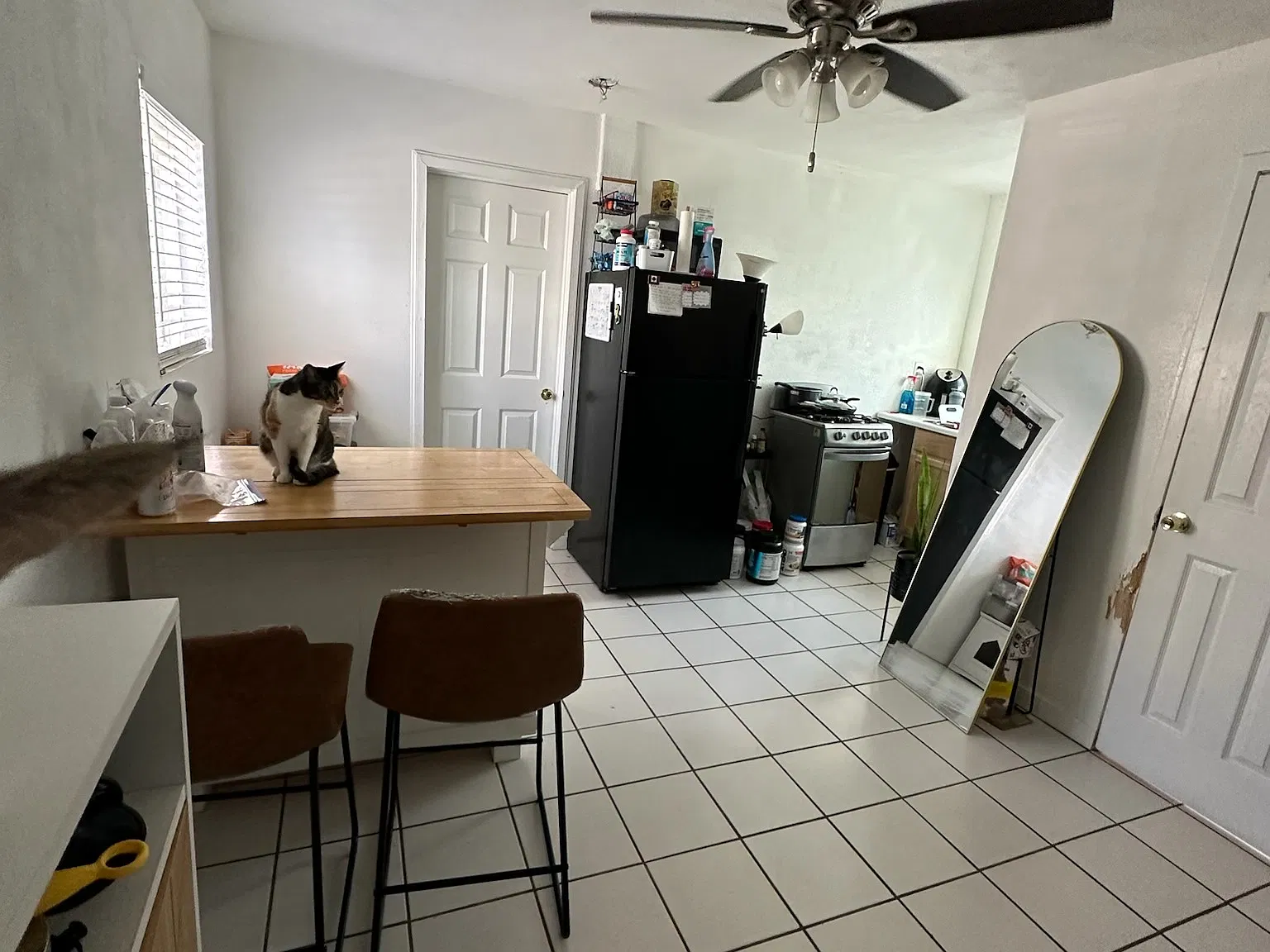 1 bed, 500 sqft, $1,500 — Photo 3